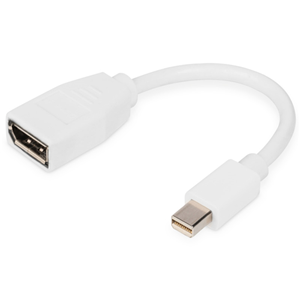 Ednet mini DisplayPort (M) to DisplayPort (F) Adapter Cable. – Cables - Monitor & Video | ACP Online