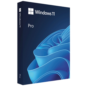 Microsoft Windows 11 Pro 32/64Bit Retail USB – Software - Operating Systems | ACP Online