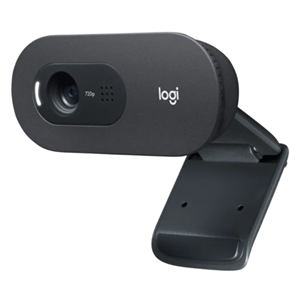 Logitech C505e Business HD Webcam Business – VC Video Conference | ACP Online