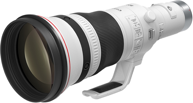 Canon RF 800mm f/5.6L IS USM RF Mount Lens – Digital SLR & M/less Lenses | ACP Online