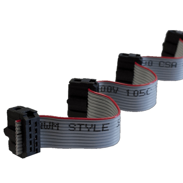 control-web Expansion Cable 1 Module 2 Connectors – Control by Web | ACP Online