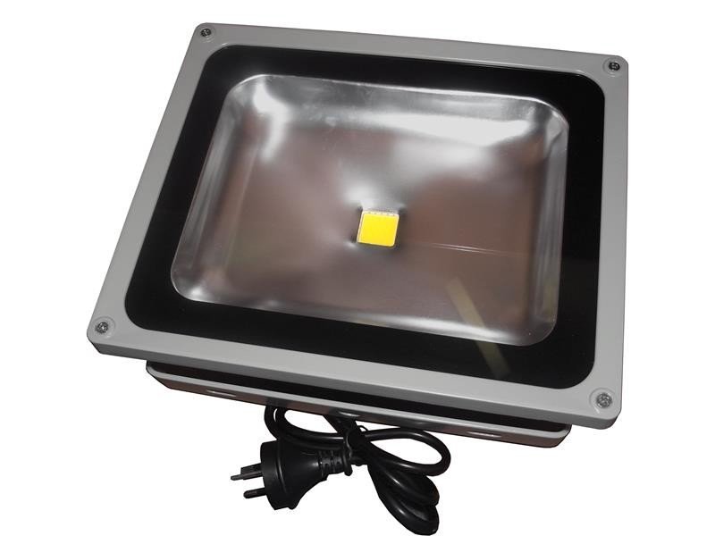 LEDware LED Floodlight 30W (3000 lm) Cool White Flex & Plug – Electrical | ACP Online