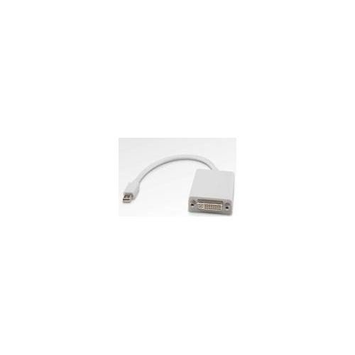 8Ware Mini Display Port to DVI Cable L=20CM – Audio | ACP Online