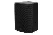 TANNOY VX12B - TANNOY 12" DUAL CONCENT BLACK – Audio | ACP Online
